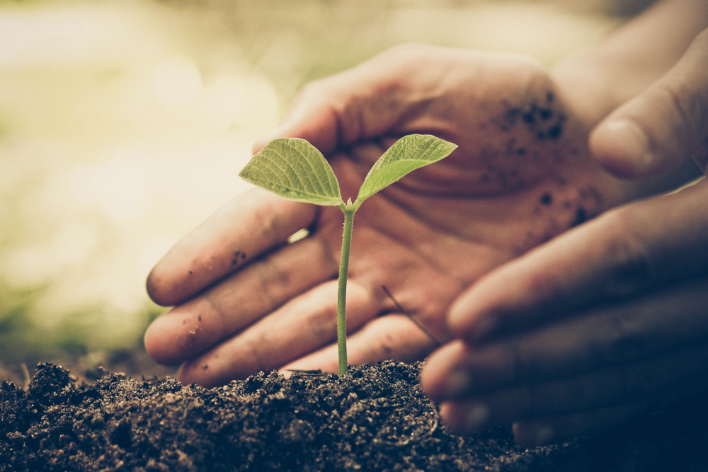 Getting Back To Nature: We Are Connected To The Earth